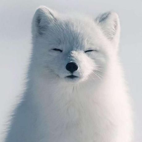 Wakin's Avatar